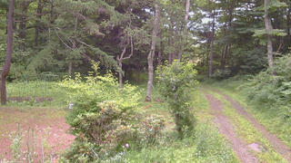 長野県菅平高原 ゆたか山荘 坂上 2026/07/13 18:30