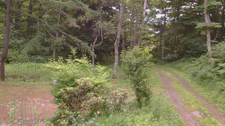長野県菅平高原 ゆたか山荘 坂上 2026/07/13 18:45