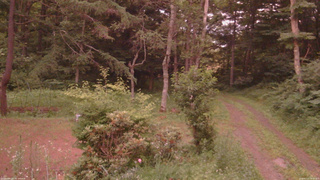 長野県菅平高原 ゆたか山荘 坂上 2026/07/13 19:15