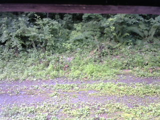 長野県菅平高原 ゆたか山荘 東側(坂下) 2026/07/14 08:15