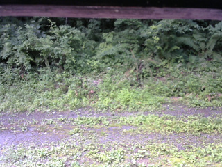 長野県菅平高原 ゆたか山荘 東側(坂下) 2026/07/14 09:00