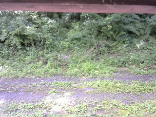 長野県菅平高原 ゆたか山荘 東側(坂下) 2026/07/14 12:00