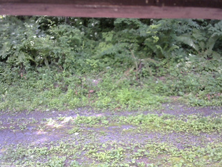 長野県菅平高原 ゆたか山荘 東側(坂下) 2026/07/14 12:45