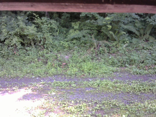 長野県菅平高原 ゆたか山荘 東側(坂下) 2026/07/14 15:15