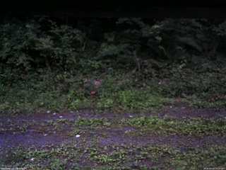 長野県菅平高原 ゆたか山荘 東側(坂下) 2026/07/14 19:15