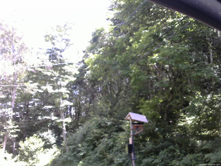 長野県菅平高原 ゆたか山荘 温度計 2026/07/14 12:45