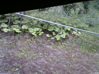 長野県菅平高原 ゆたか山荘 駐車場 2026/07/14 05:30