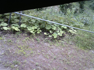 長野県菅平高原 ゆたか山荘 駐車場 2026/07/14 08:00
