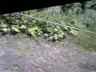 長野県菅平高原 ゆたか山荘 駐車場 2026/07/14 11:15