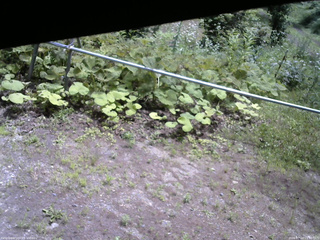 長野県菅平高原 ゆたか山荘 駐車場 2026/07/14 11:30