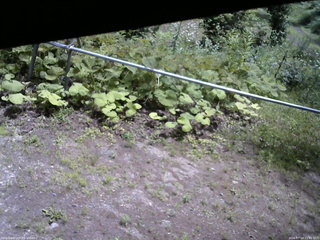 長野県菅平高原 ゆたか山荘 駐車場 2026/07/14 11:45
