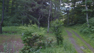 長野県菅平高原 ゆたか山荘 坂上 2026/07/14 05:00