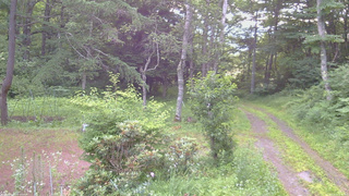 長野県菅平高原 ゆたか山荘 坂上 2026/07/14 05:15