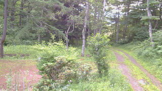 長野県菅平高原 ゆたか山荘 坂上 2026/07/14 05:30