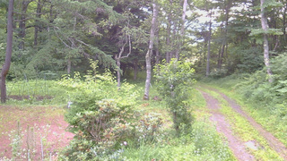 長野県菅平高原 ゆたか山荘 坂上 2026/07/14 05:45