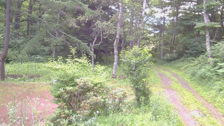 長野県菅平高原 ゆたか山荘 坂上 2026/07/14 06:00