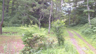 長野県菅平高原 ゆたか山荘 坂上 2026/07/14 06:15