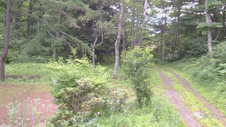 長野県菅平高原 ゆたか山荘 坂上 2026/07/14 06:30