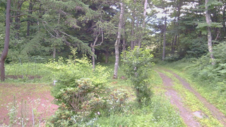 長野県菅平高原 ゆたか山荘 坂上 2026/07/14 06:45