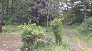 長野県菅平高原 ゆたか山荘 坂上 2026/07/14 07:45