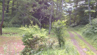 長野県菅平高原 ゆたか山荘 坂上 2026/07/14 08:30