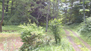 長野県菅平高原 ゆたか山荘 坂上 2026/07/14 09:00