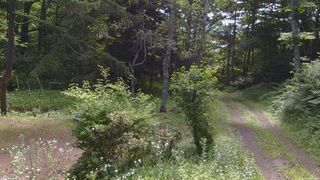 長野県菅平高原 ゆたか山荘 坂上 2026/07/14 09:15