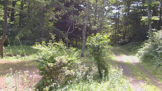 長野県菅平高原 ゆたか山荘 坂上 2026/07/14 09:30