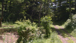 長野県菅平高原 ゆたか山荘 坂上 2026/07/14 10:00