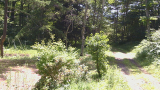 長野県菅平高原 ゆたか山荘 坂上 2026/07/14 10:15
