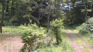 長野県菅平高原 ゆたか山荘 坂上 2026/07/14 10:30