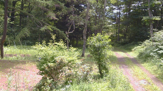 長野県菅平高原 ゆたか山荘 坂上 2026/07/14 10:45