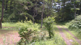 長野県菅平高原 ゆたか山荘 坂上 2026/07/14 11:00