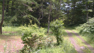 長野県菅平高原 ゆたか山荘 坂上 2026/07/14 11:15