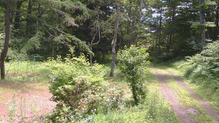 長野県菅平高原 ゆたか山荘 坂上 2026/07/14 11:30