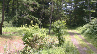 長野県菅平高原 ゆたか山荘 坂上 2026/07/14 11:45
