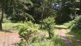 長野県菅平高原 ゆたか山荘 坂上 2026/07/14 12:00