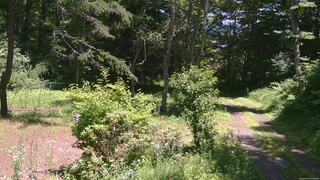 長野県菅平高原 ゆたか山荘 坂上 2026/07/14 12:15