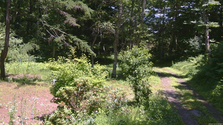 長野県菅平高原 ゆたか山荘 坂上 2026/07/14 12:30