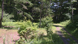 長野県菅平高原 ゆたか山荘 坂上 2026/07/14 12:45