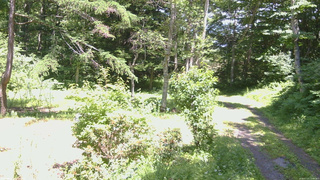長野県菅平高原 ゆたか山荘 坂上 2026/07/14 13:00