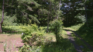 長野県菅平高原 ゆたか山荘 坂上 2026/07/14 13:15