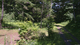 長野県菅平高原 ゆたか山荘 坂上 2026/07/14 13:30