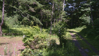 長野県菅平高原 ゆたか山荘 坂上 2026/07/14 13:45
