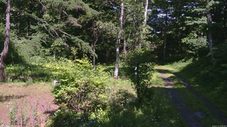 長野県菅平高原 ゆたか山荘 坂上 2026/07/14 14:00