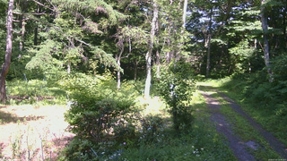 長野県菅平高原 ゆたか山荘 坂上 2026/07/14 14:30
