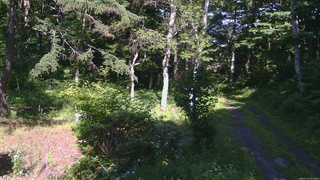 長野県菅平高原 ゆたか山荘 坂上 2026/07/14 15:15