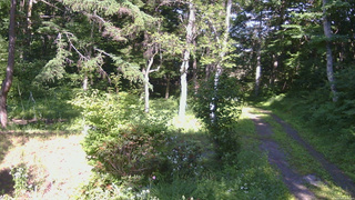 長野県菅平高原 ゆたか山荘 坂上 2026/07/14 15:30
