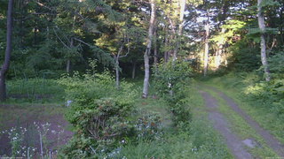 長野県菅平高原 ゆたか山荘 坂上 2026/07/14 17:45