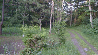 長野県菅平高原 ゆたか山荘 坂上 2026/07/14 18:00